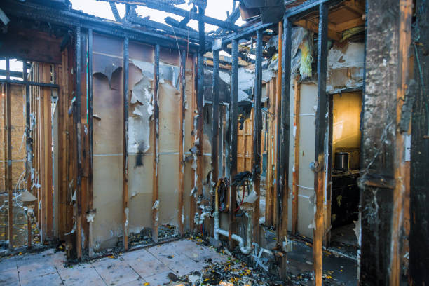 Professional Fire Damage Assessment technician working in Clinton, KY
